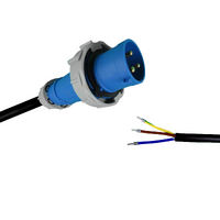 Appliance Lead 3 Pin 32 Amp CEE Form (IEC 60309) Single Phase